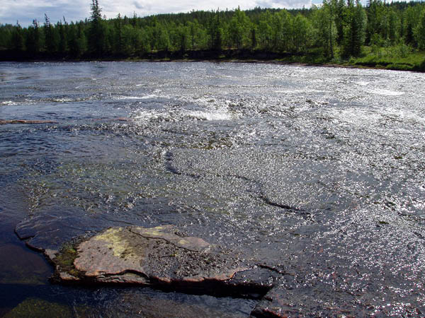 P6271464