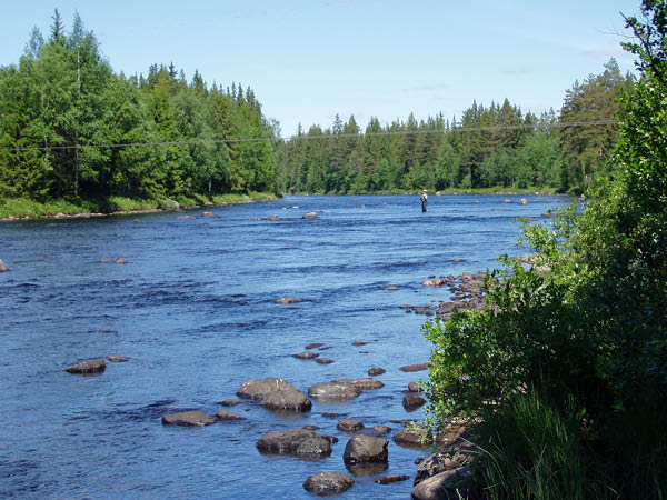 P6291486