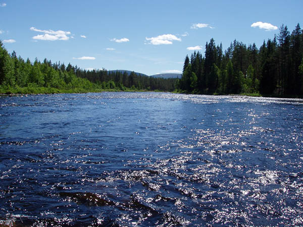 P6291489