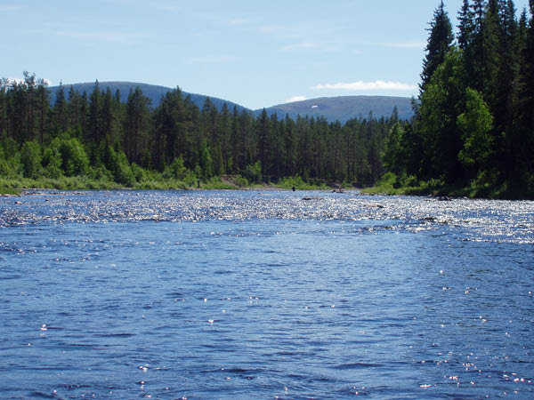 P6291490