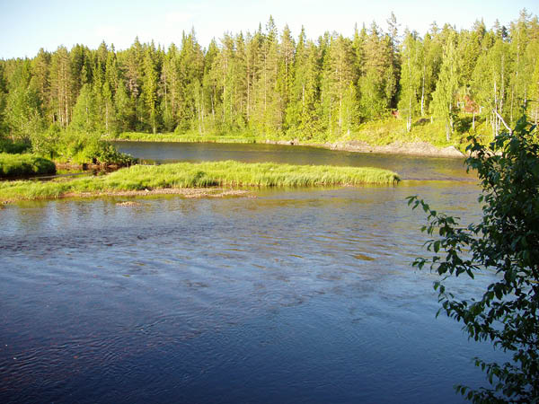 P6291492
