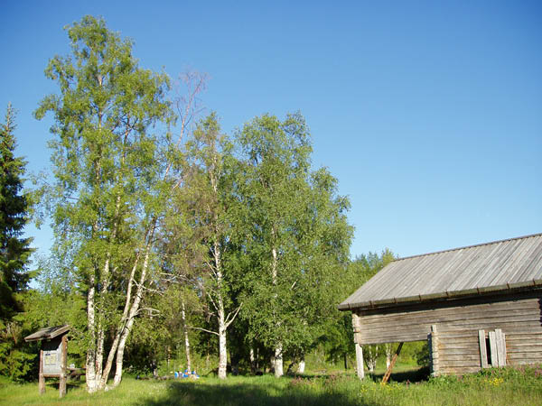 P6291494