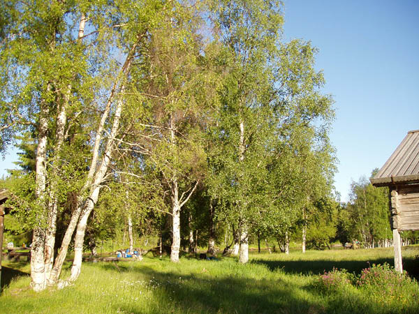P6291495