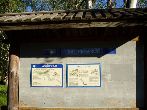 P6291496