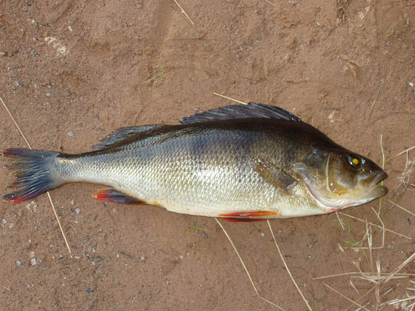 P6301505