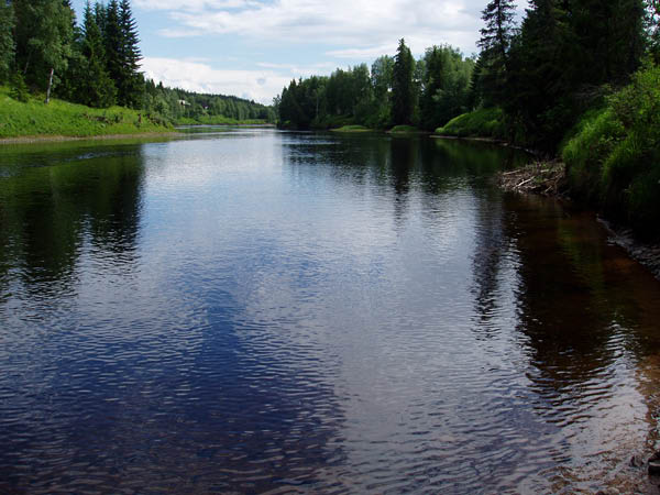 P7011507
